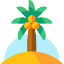 summertime,beach,summer,nature,tropical,botanical,palm tree